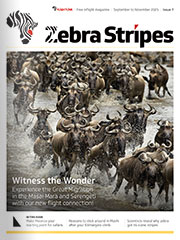 Flightlink, Zebra Stripes, issue 7"