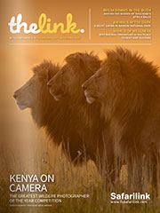 Safarilink, The Link, issue 5"